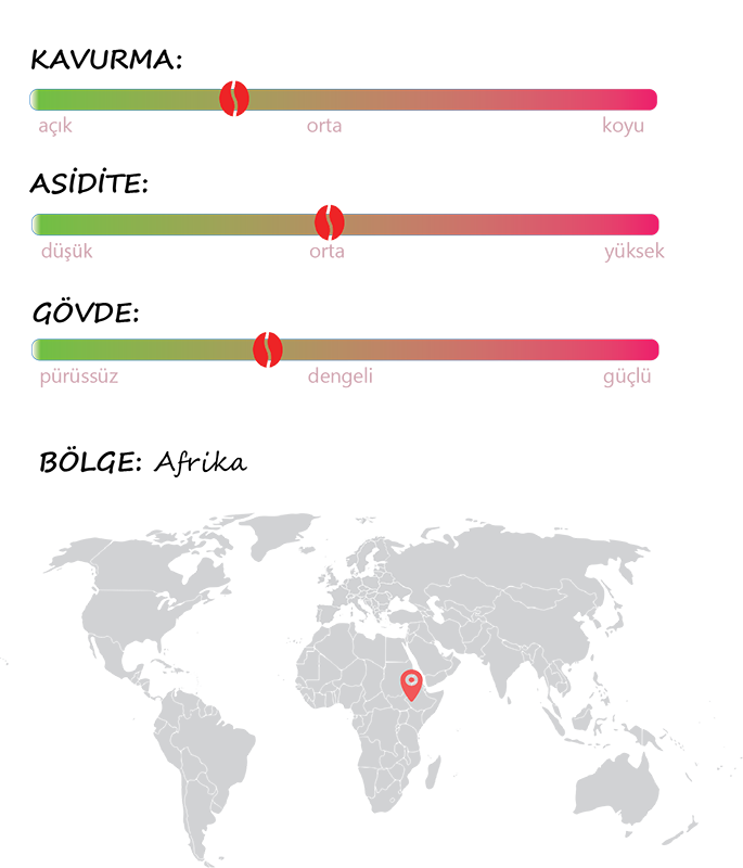 Ethiopia Yirgacheffe Kahvesi