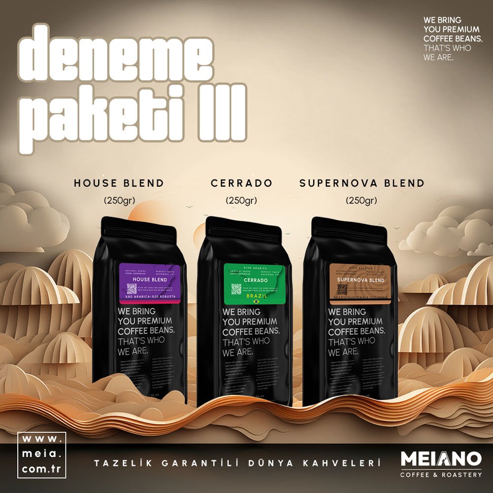 MEIANO DENEME SETİ 3