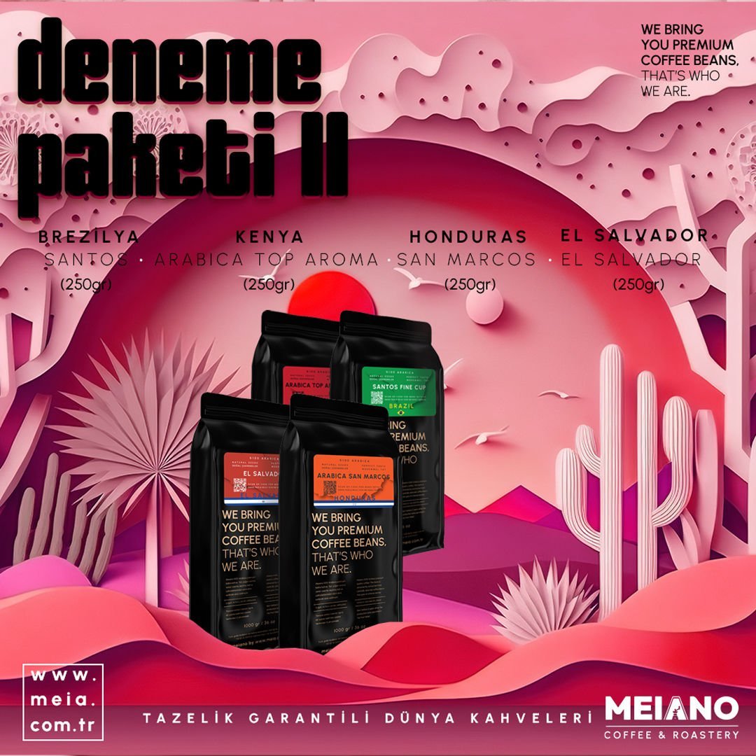 MEIANO DENEME SETİ 2