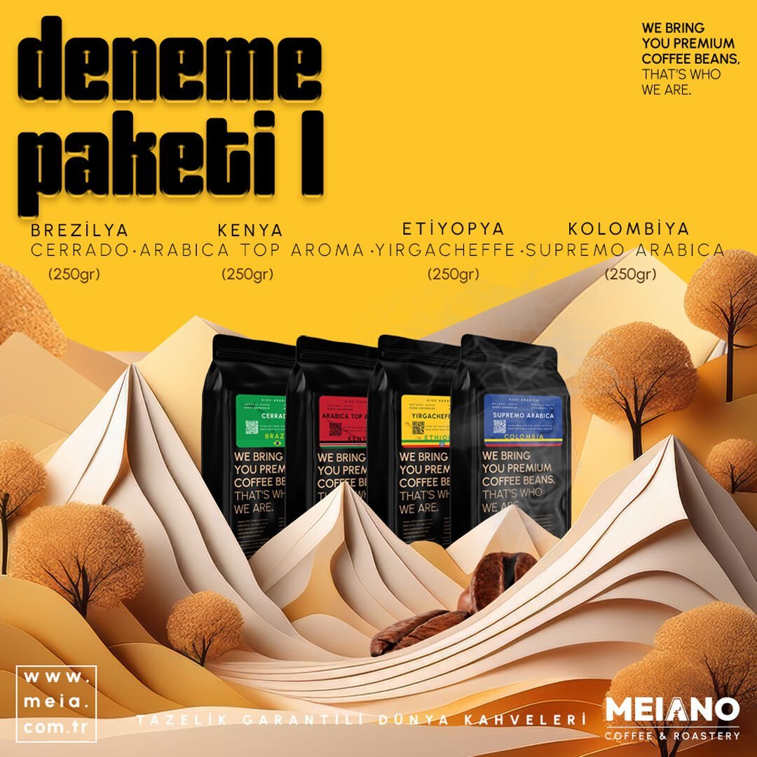 MEIANO DENEME SETİ 1