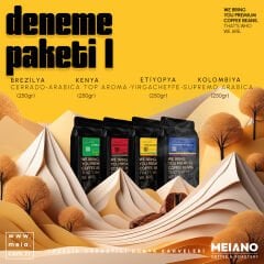 MEIANO DENEME SETİ 1